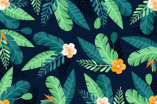 使用热带花卉和树叶缩放背景