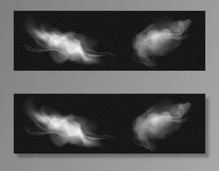 白烟和雪花的冷风效果。