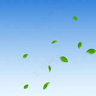 飘落的绿叶。新鲜的茶叶随风飘扬。春天的树叶在蓝天的背景下翩翩起舞。实际夏季覆盖模板。春季大甩卖。