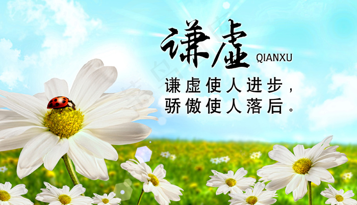 绿色环保 低碳环保 节能减排  菊花