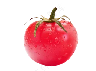 红色蔬菜西红柿