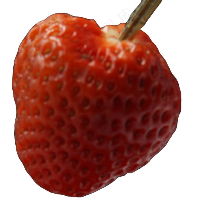 一个红色的新鲜草莓(2000X2000(DPI:300))psd模版下载