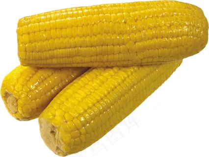 玉米 蔬菜 玉米 蔬菜