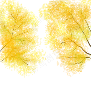 立秋植物金黄树叶