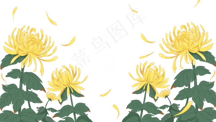 秋菊花卉(2000X1125(DPI:300))psd模版下载