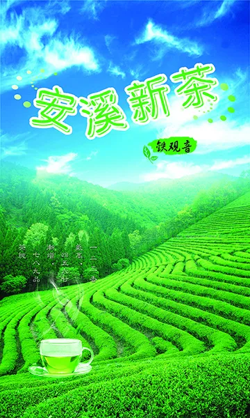 茶叶宣传海报psd模版下载