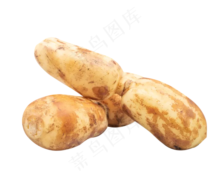 莲藕莲菜(1000X691(DPI:300))