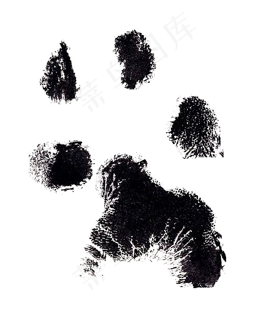 动物黑色脚印