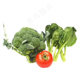 绿色西红柿菜芯西兰花蔬菜组合