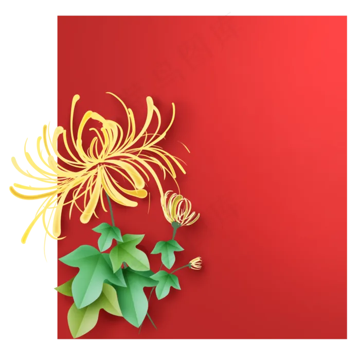 金菊红色文本框(2000X2000(DPI:299))psd模版下载