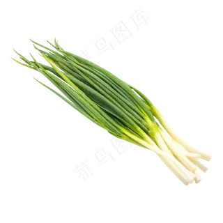绿色蔬菜小葱