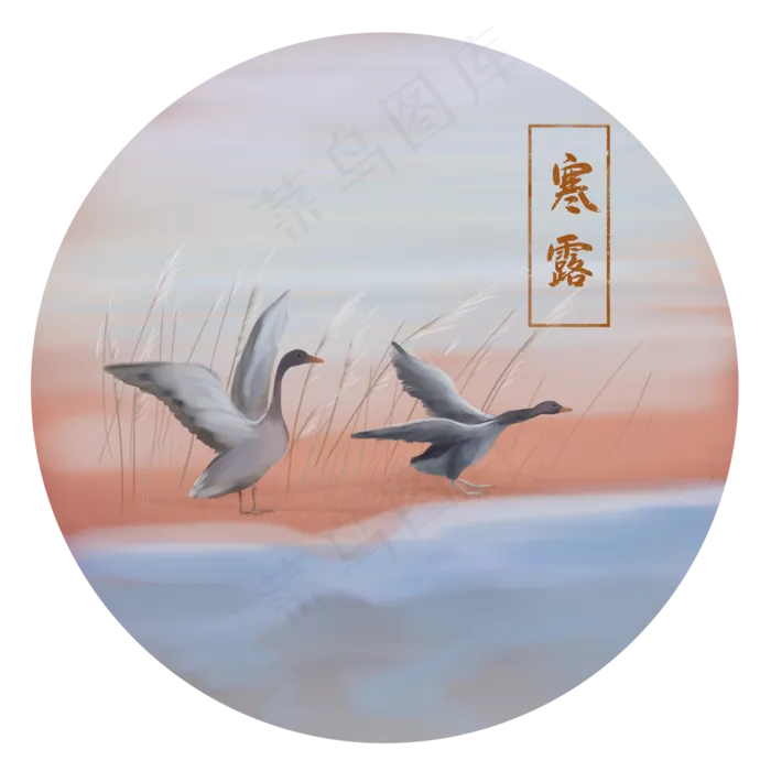 寒露大雁芦苇手绘(2000X2000(DPI:300))psd模版下载
