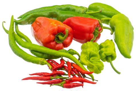 菜椒食材蔬菜合集