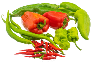 菜椒食材蔬菜合集