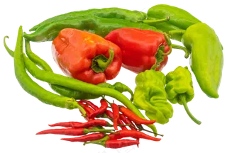 菜椒食材蔬菜合集