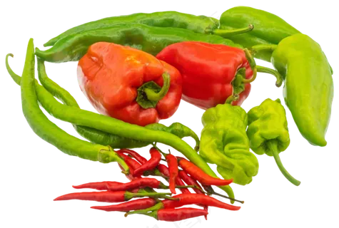 菜椒食材蔬菜合集 菜椒食材蔬菜合集