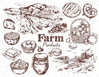 农产品素描集