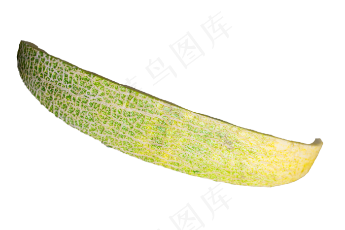热带水果哈密瓜皮(3000*2000px 300 dpi )