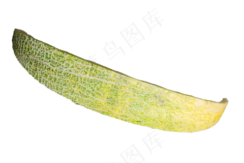 热带水果哈密瓜皮