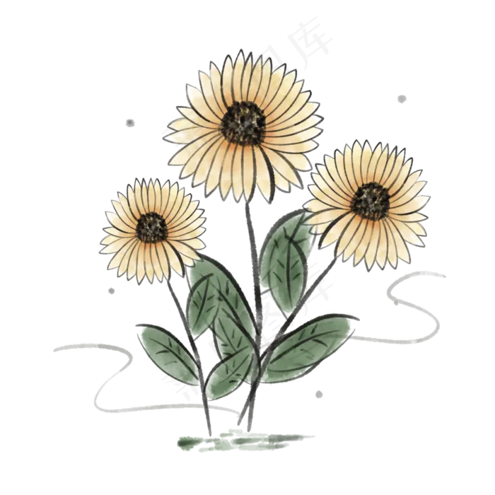 重阳节菊花(3000X3000(DPI:300))psd模版下载
