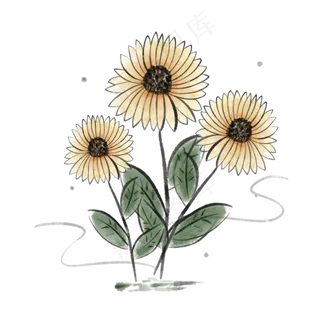 重阳节菊花 重阳节菊花