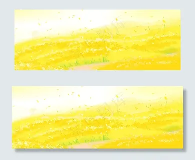 黄色的油菜花免抠图 黄色的油菜花免抠图