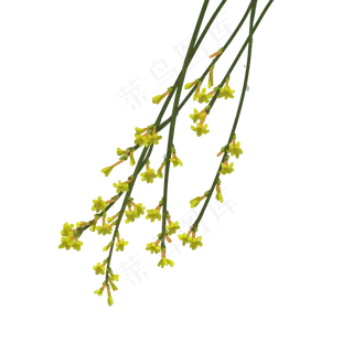 小清新花卉装饰