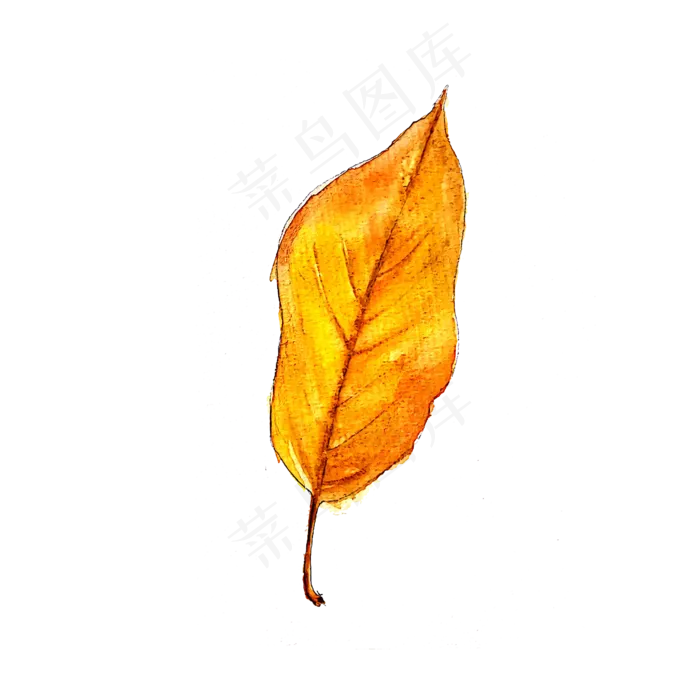 秋天落叶黄色树叶(2000X2000(DPI:300))psd模版下载