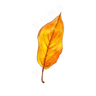 秋天落叶黄色树叶