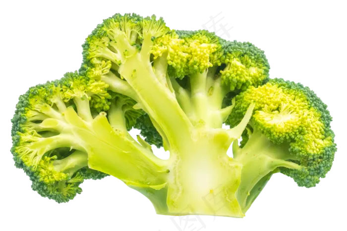新鲜绿色花椰菜(2000X2000(DPI:300))