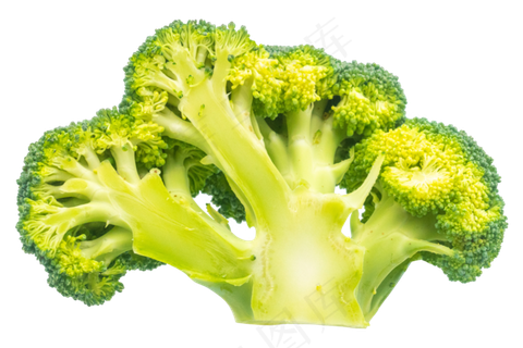 新鲜绿色花椰菜