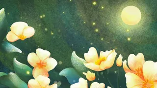 花好月圆中秋节赏月圆月