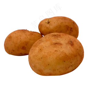 新鲜土豆