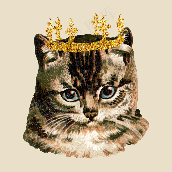 戴着闪亮皇冠贴纸的猫eps,ai矢量模版下载