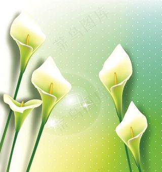 电视墙背景画效果图片