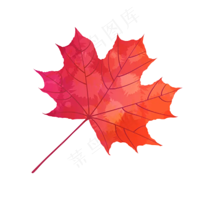 实物秋天落叶枫叶红叶(2000X2000(DPI:300))psd模版下载
