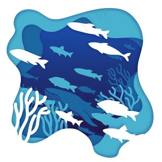 纸质海洋环境观