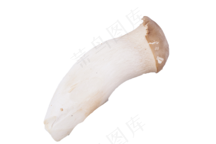 超级美味的新鲜蘑菇