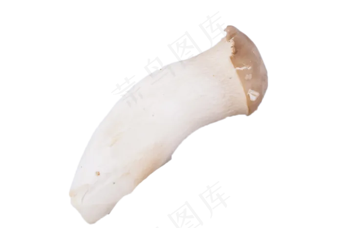 超级美味的新鲜蘑菇(2000X1333(DPI:240))psd模版下载
