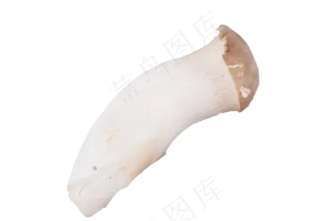 超级美味的新鲜蘑菇