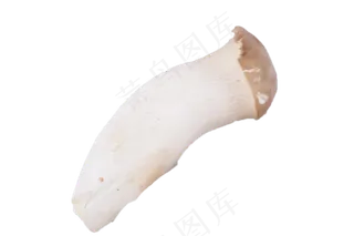 超级美味的新鲜蘑菇