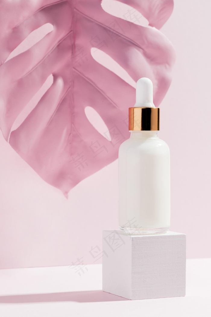 特写体黄油接受者