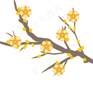 春节黄色腊梅