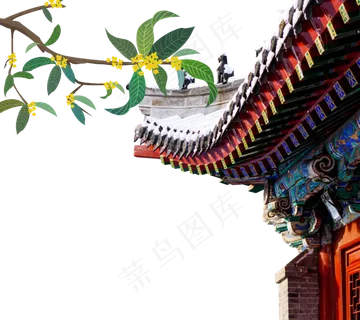 中秋中秋节屋檐桂花