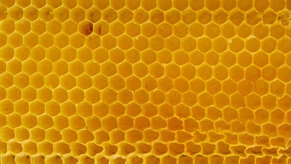 黄色蜂窝纹理