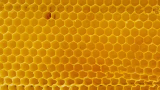 黄色蜂窝纹理