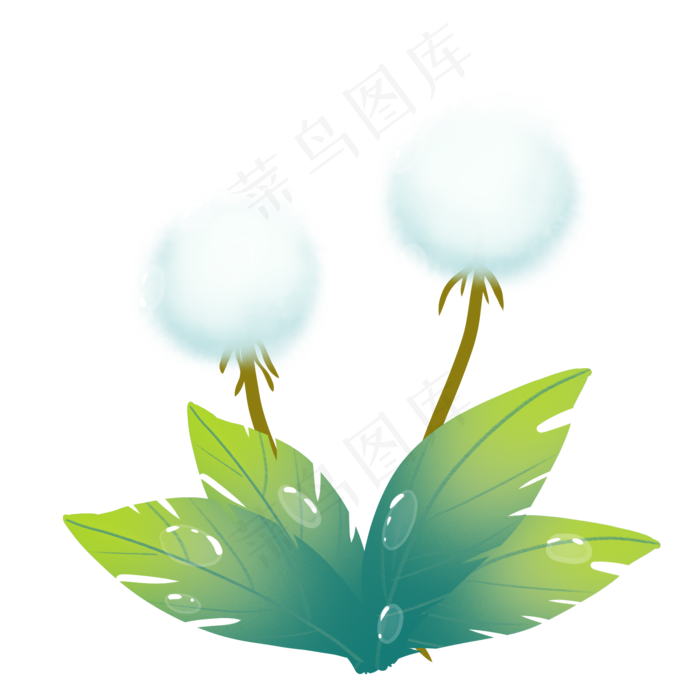 寒露露珠二十四节气(2000X2000(DPI:300))psd模版下载