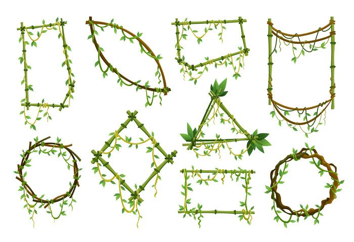 一套热带藤本植物框架，丛林植物枝叶。热带攀缘藤本植物与绿叶。卡通藤本植物框架形状。藤本树枝