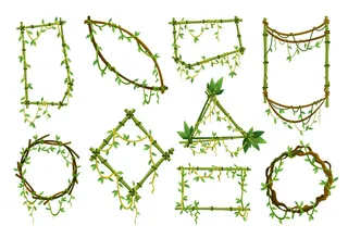 一套热带藤本植物框架，丛林植物枝叶。热带攀缘藤本植物与绿叶。卡通藤本植物框架形状。藤本树枝