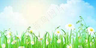 田野里的花草和天空，背景是云